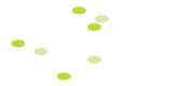 iTi Tropicals