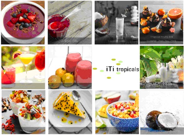 iTi Tropicals - Wholesale exotic and tropical processed fruit concentrates, purees, juices