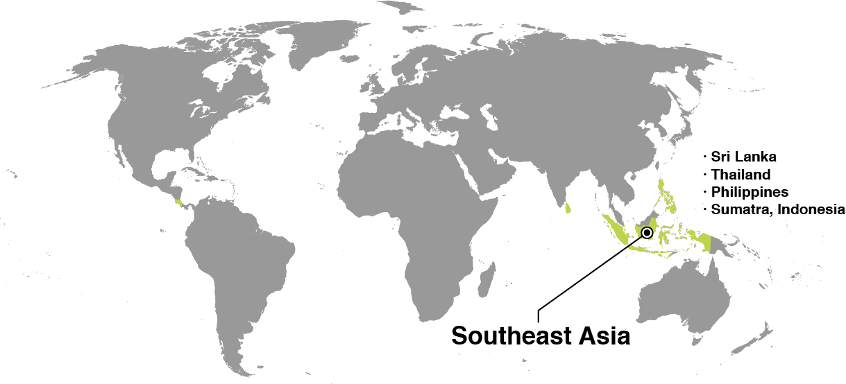CoconutWater_Map