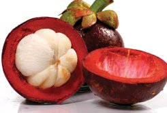 iTi Tropicals - Wholesale exotic and tropical processed fruit concentrates, purees, juices